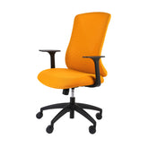Flexispot Light Mesh Office Chair OC2